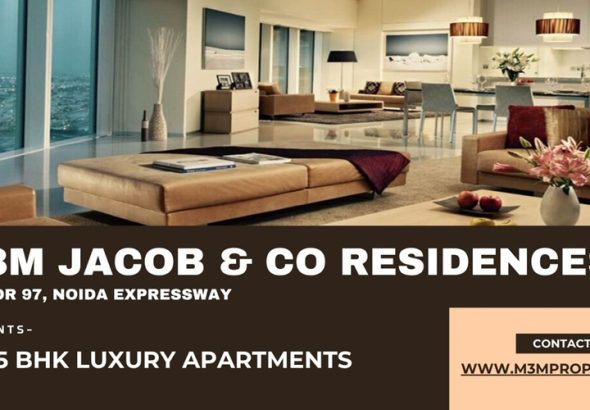 WhatsApp Image 2025-11-10 at 11.59.11 AM (1)