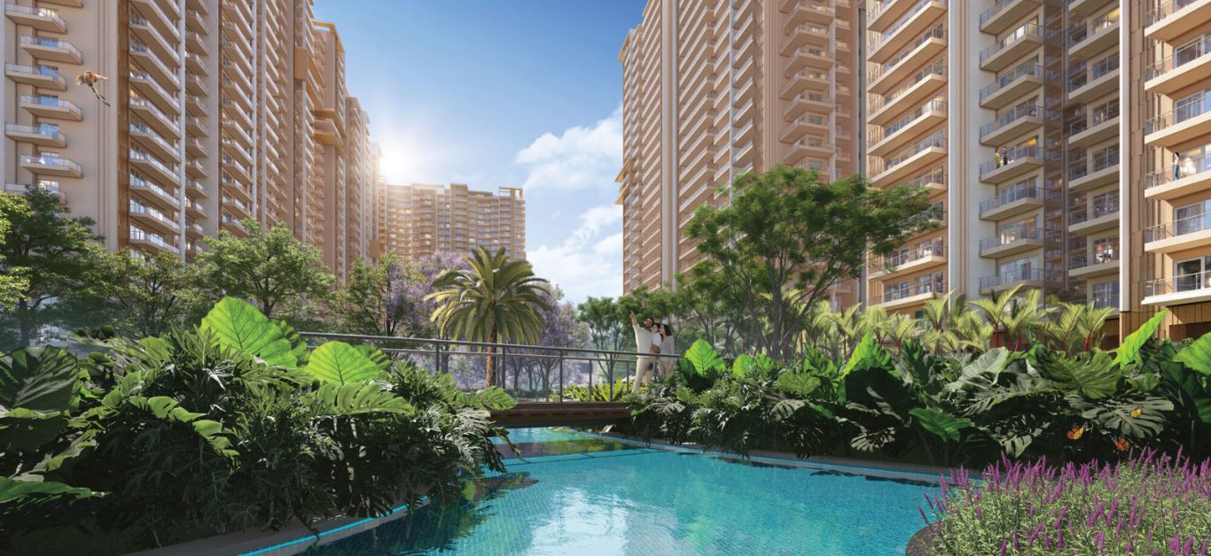 Clove County Sector 151