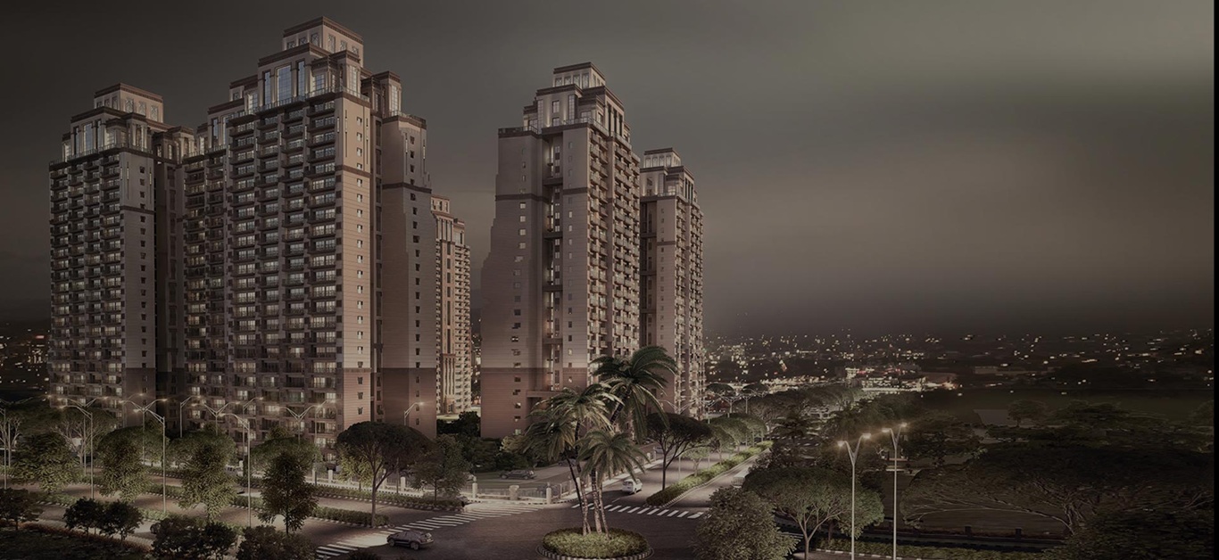 Gami Vashi