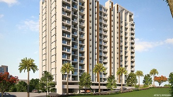 Notan DC Juhu