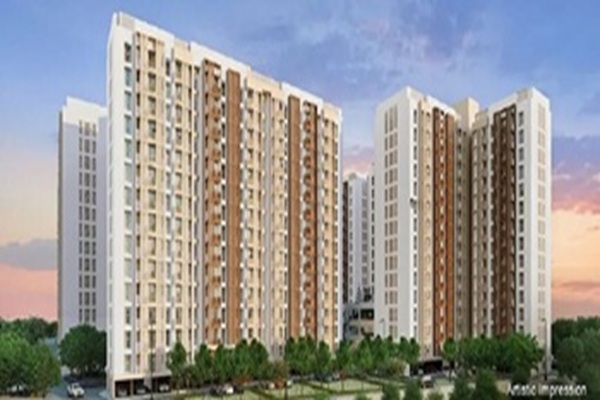 Smart World Nature Court